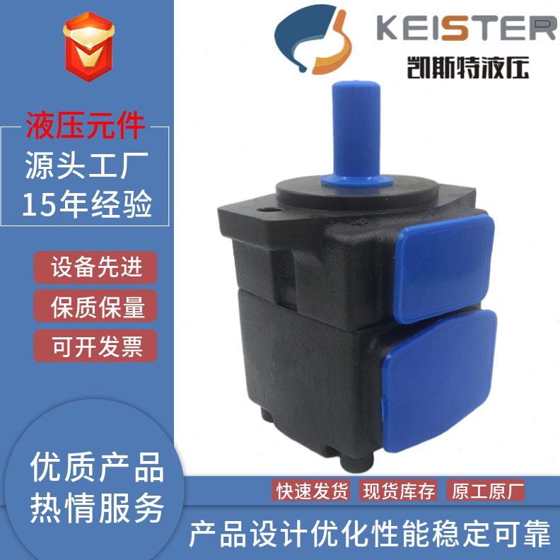 R-F//叶片泵28I/12V219/RP1V2325123P7ER2凯斯特-/R/KEST1/14油泵