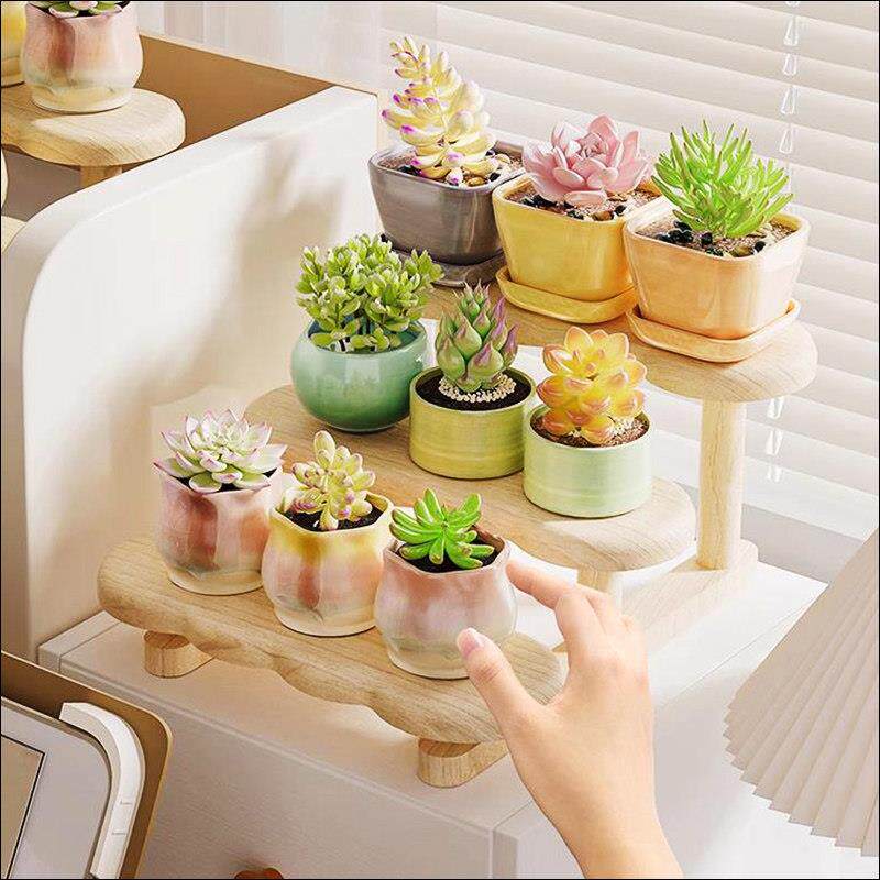 办公桌工位绿植置物架飘窗桌面窗台阳台小多层多肉专用花架摆放架