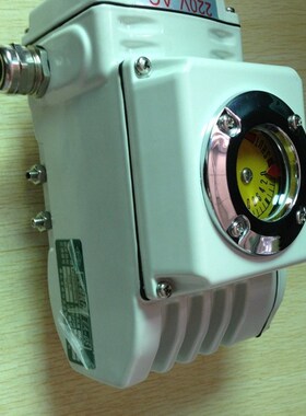 EA-10电动执行器,EAE-10执行器100NM