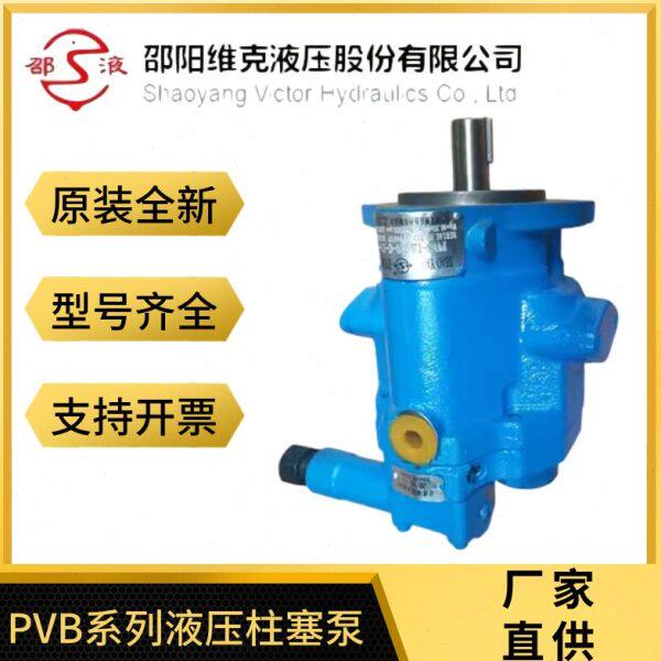 塞VC15-6P10- RS 柱PRLS/R11克20   CC- 20 B5 -邵阳维-CWLS 泵92
