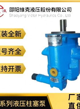 塞VC15-6P10- RS 柱PRLS/R11克20   CC- 20 B5 -邵阳维-CWLS 泵92