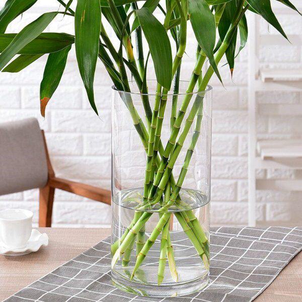 形圆柱透明插花特大直筒器富贵竹酒店玻璃花瓶高圆筒特客厅落地容