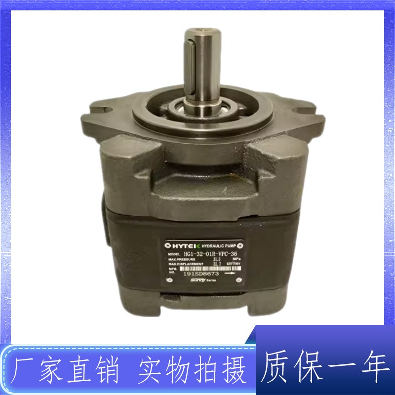 海特克CPO/HG0/CP1-16/08/10/13/20/2G5/32/40/50-P-10R液压齿轮