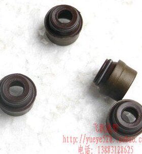 林T气油封C250油封 250N6越野N 亚翔发动机C正宗申发动机气门门