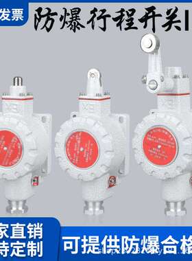 防爆行程开关限位IIC脚踏DLXK-/B/Z/N隔爆单双踏控制EX滚轮柱塞式