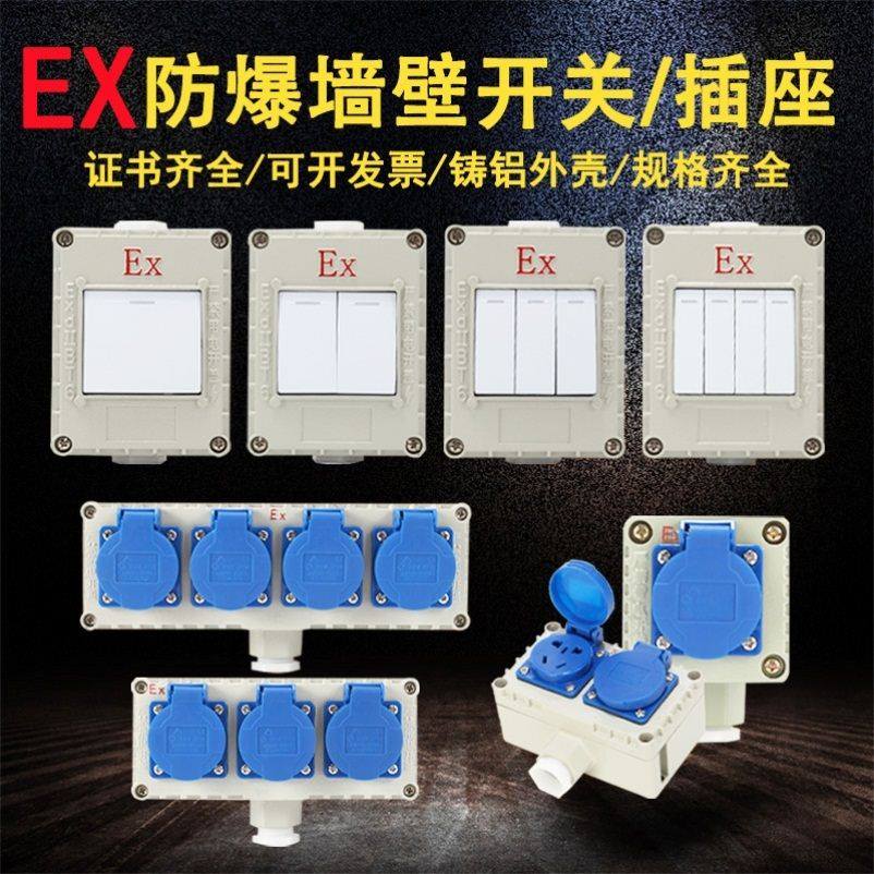 防爆开关插座220V10A单控双控5孔10孔铝合金底盒明装暗装通用SW10