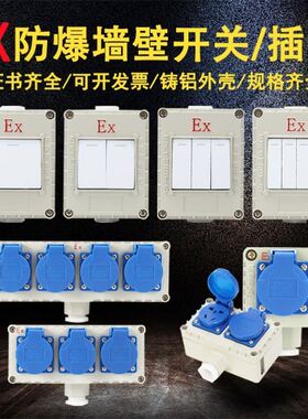 防爆开关插座220V10A单控双控5孔10孔铝合金底盒明装暗装通用SW10