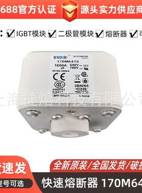 170M6419 170M6420 快速熔断器 保险丝 电子元器件 量大价优