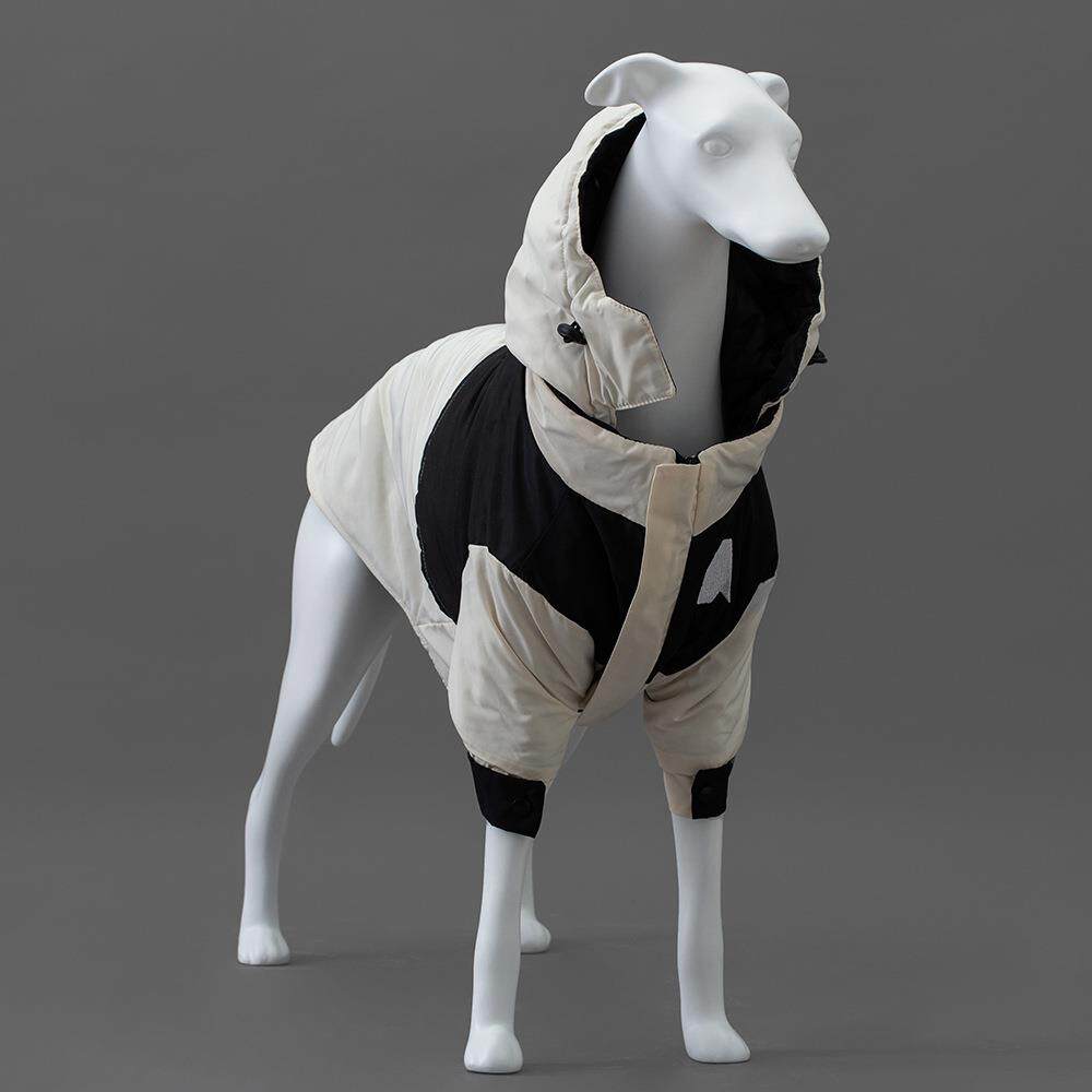 灵缇犬拍照道具狗模特落地家居摆件简约现代狗模型宠物服装店饰品