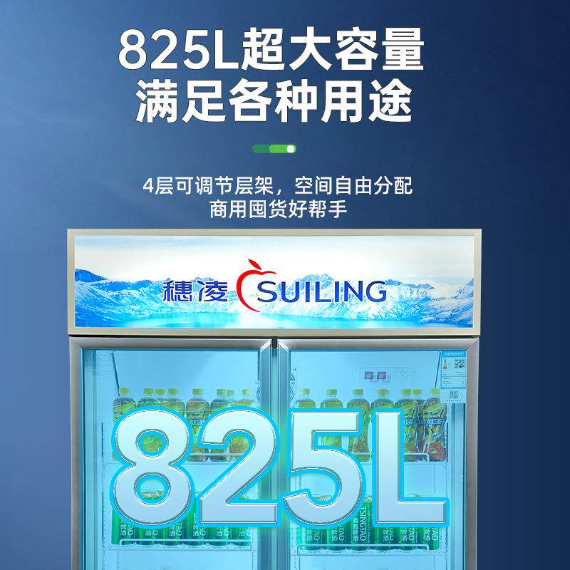 穗凌LG4商用双门立式冷藏冰柜超市牛奶饮料展示柜直冷保鲜大冰箱