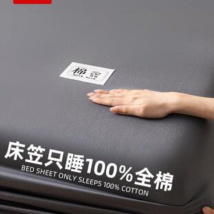 城外纯色床笠罩单件纯棉加厚床罩2025新款床单床垫套四季通用