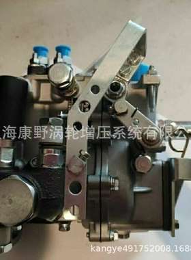 喷油泵 BH2Q85R8 12C000-1111100 2Q80-1 2Q81-1 2Q82 2Q83 2Q84