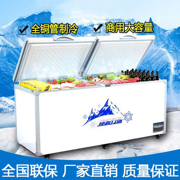 商用大容量大型急冻柜冰柜卧式冰箱电冷柜冷藏冷冻保鲜两用柜