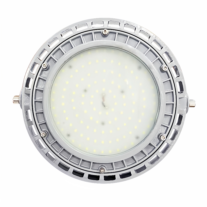 ZG-SENBEN-森本防爆LED圆形防爆灯FG03Y可加应急智能控制