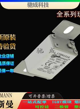 巴斯曼170M1488 170M1508 170M1509 厂价直销厂价直供 高速熔断器