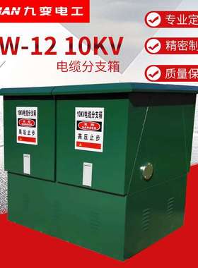 一进一出10KVT接箱DFW-12/630欧式高压电缆分支箱配电不锈钢