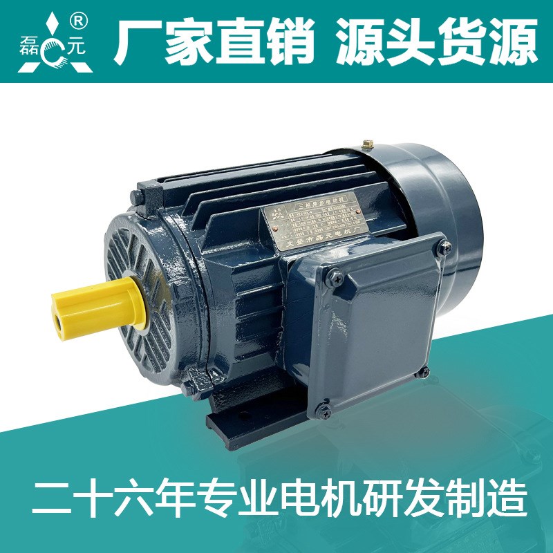 二极11/15/18.5/22KWP三相异步电动机家用