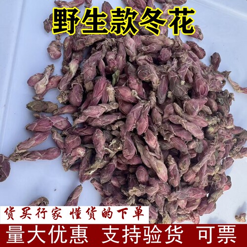 野生款冬花500g甘肃特产精品野生款冬花
