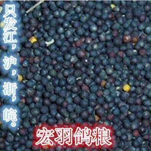 油菜籽鸟食饲料鹦鹉芙蓉鸟玉鸟雀鸟文鸟金丝雀鸟食鸽粮 40斤