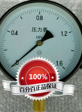 雷尔达压力表 y-100 表盘100mm 压力0-1.6mpa 安装螺纹m20x1.5
