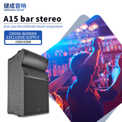 15-inch professional audio Dedicated audio for conferences