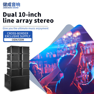 Dual 10-inch line array audio high-power  Professional Audio