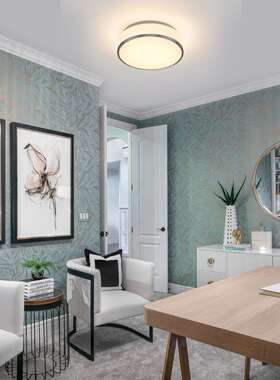 吸顶灯简约现代灯书房卧室2025吹制玻璃LED可调色温吸顶灯3127ST