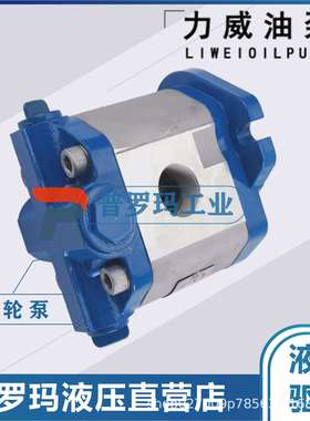 合肥力威1032300111转向油泵中联重科大吊车转向泵QC40/15-WP12