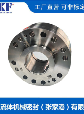 前置泵机械密封LTJ-QZ-120/Y015-V1-S1集装式非标定制电厂专用