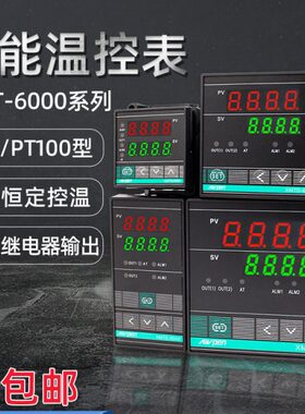 DP 10安60继电器培-TXT仪器SSRM00控制EK型数显 温度0XMTGA