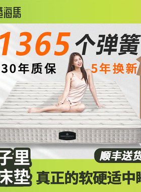 海马压缩卷包床垫 记忆棉可真空包装发货 蓝色R盒子家用软垫席梦