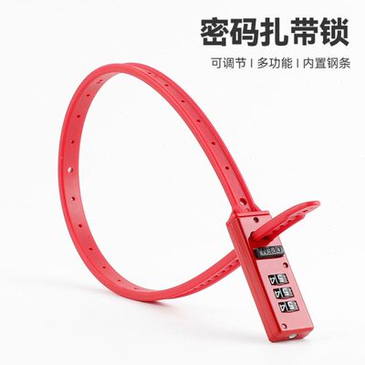 便携式滑板车行李箱锁自行车扎带电动摩托车头盔锁包防盗密码锁锁