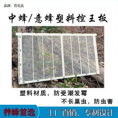 中蜂意蜂蜂王防逃隔王栅蜂箱控王塑料隔王片立式平面隔王板5片装