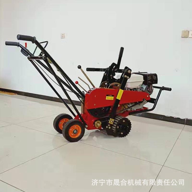 天然种植草坪起草皮机 晟合手推式汽油起草机 草坪基地铲草机