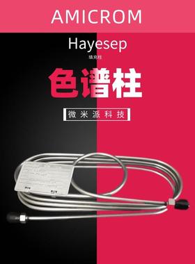 Hayesep N气相色谱柱不锈钢填充柱色谱分析柱气体分离柱国产GC柱