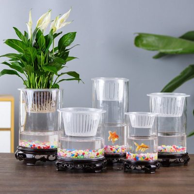 创意水培瓶植物透明玻璃花瓶容器绿萝花盆鱼花共养缸水养摆件器皿
