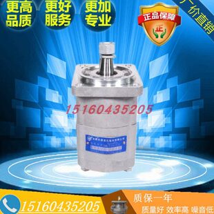 62.52021齿轮1 21CLZ马达合肥20WCF21源S6长 20220P