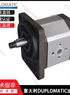 D0迪普07TIC0214马R9齿轮泵30/F/200-/意大利0LOUP/ 711G00N95PMA