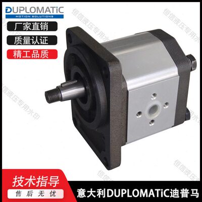 D0迪普07TIC0214马R9齿轮泵30/F/200-/意大利0LOUP/ 711G00N95PMA