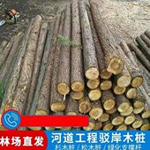 打桩木杉木建筑庭院皮绿化苗木头桩工程松木桩挡土河道带支撑杆木