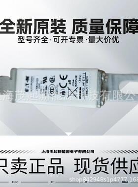 170M1419 170M1418 170M1412 170M1421 170M1315 bussmann熔断器