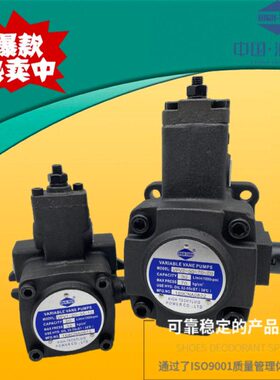 特-V-35 70 20 30-V2油泵P10115-海55克叶片泵 70V7020-40P-  V12