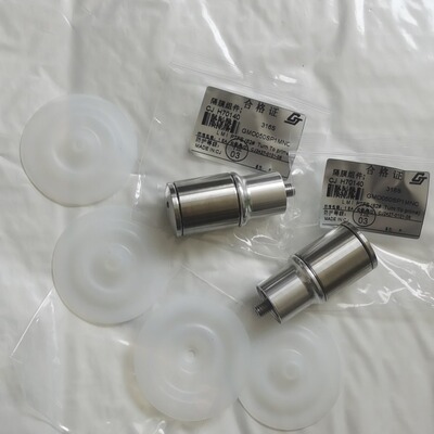成纪配米顿罗计量泵南方力高GM0050S双隔膜泵头组件H70140不锈钢