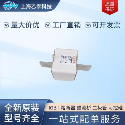 巴斯曼熔断器 170M6142 170M6143 170M6144 170M6145 170M6146