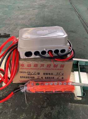 CD/MD控制电器箱6方向带遥控1吨2吨3吨5吨葫芦控制箱提升控制箱