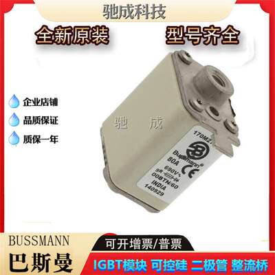 巴斯曼170M2764 170M2765 170M2766  低压保险丝诚信经营货源充足