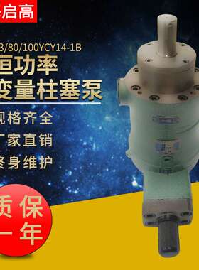 63YCY14-1B高压液压泵80YCY14-1B  100YCY14-1B恒功率变量柱塞泵
