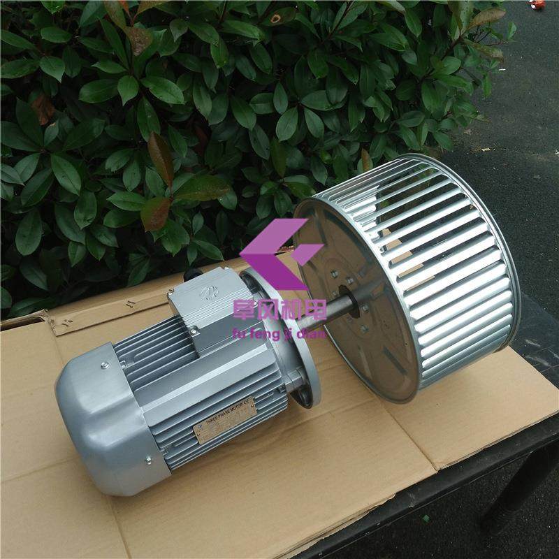 非标加长轴电机 YE2-100L1-4 1400转,2.2kw,耐高温烤箱热风循环,电子元器件市场,其它元器件,淘宝优惠券,粉丝福利购,淘宝优惠卷