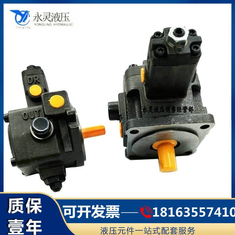 35C液压P1仙居永灵Y1-2L-叶片泵 量VP-变- 87055V-V 30-叶片泵P15