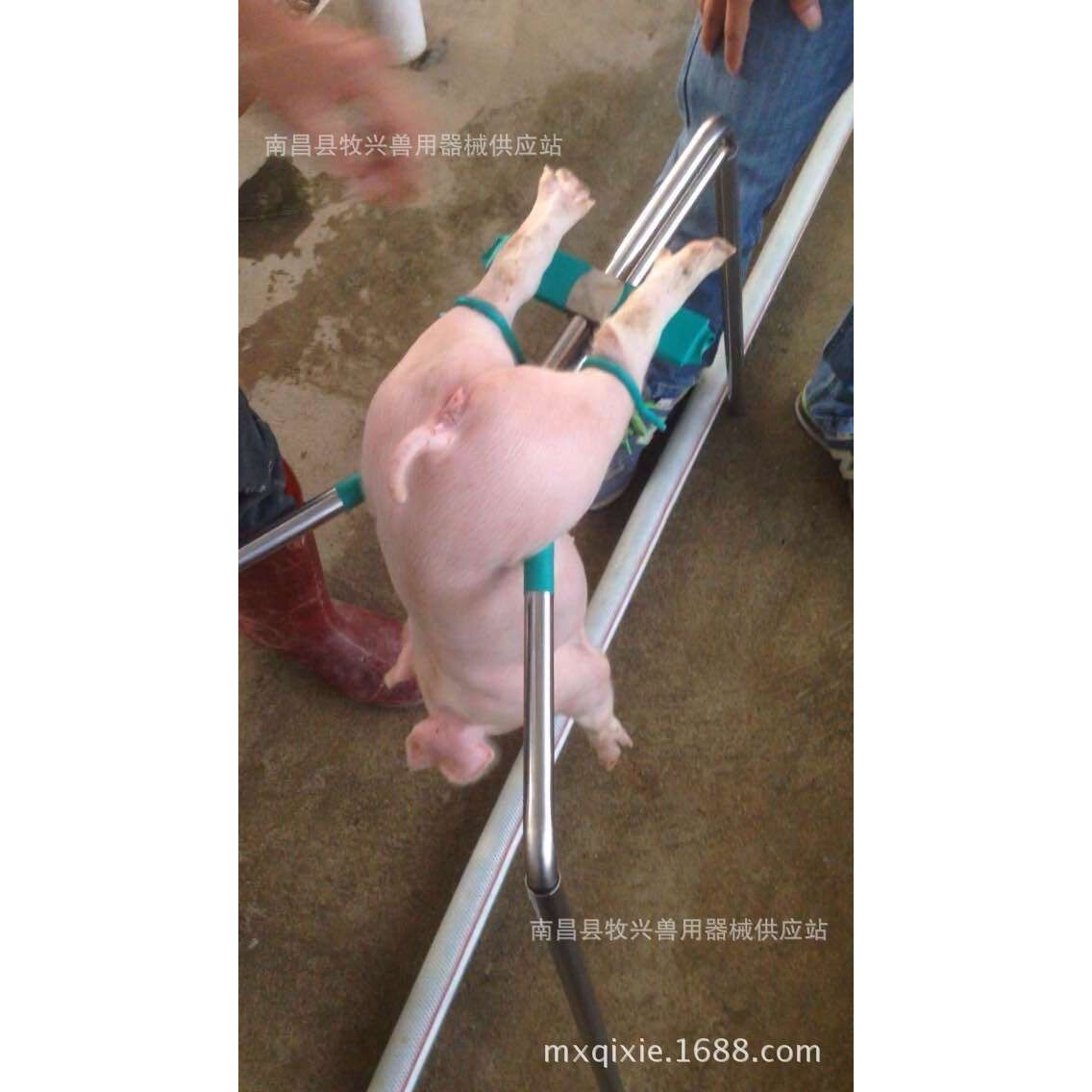 厂家不锈钢阉猪架阉割台阉仔猪器三脚架三脚台倒挂器